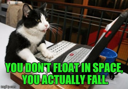 Fact Cat | YOU DON'T FLOAT IN SPACE, YOU ACTUALLY FALL. | image tagged in fact cat | made w/ Imgflip meme maker