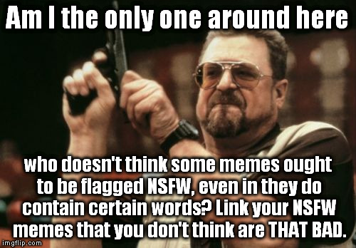 Bring out your dea... er... I mean, your NSFW memes. | Am I the only one around here; who doesn't think some memes ought to be flagged NSFW, even in they do contain certain words? Link your NSFW memes that you don't think are THAT BAD. | image tagged in memes,am i the only one around here,nsfw,not bad | made w/ Imgflip meme maker