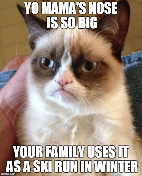 Grumpy Cat Meme | YO MAMA'S NOSE IS SO BIG YOUR FAMILY USES IT AS A SKI RUN IN WINTER | image tagged in memes,grumpy cat | made w/ Imgflip meme maker