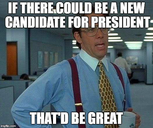 Hillary is ok.. i mean | IF THERE COULD BE A NEW CANDIDATE FOR PRESIDENT; THAT'D BE GREAT | image tagged in memes,that would be great,politics | made w/ Imgflip meme maker