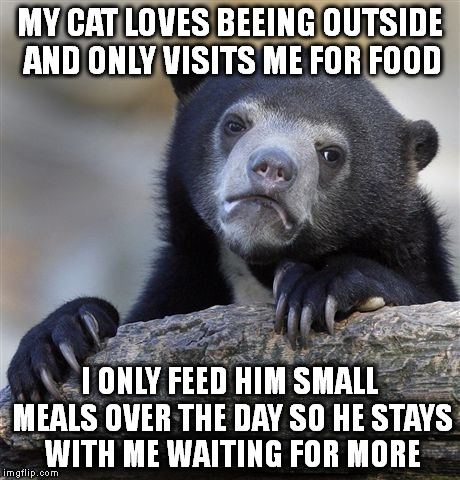 Confession Bear Meme | MY CAT LOVES BEEING OUTSIDE AND ONLY VISITS ME FOR FOOD; I ONLY FEED HIM SMALL MEALS OVER THE DAY SO HE STAYS WITH ME WAITING FOR MORE | image tagged in memes,confession bear,AdviceAnimals | made w/ Imgflip meme maker