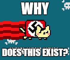 Nyan cat | WHY; DOES THIS EXIST? | image tagged in nyan cat | made w/ Imgflip meme maker