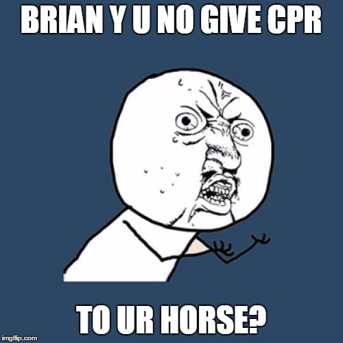 Y U No Meme | BRIAN Y U NO GIVE CPR TO UR HORSE? | image tagged in memes,y u no | made w/ Imgflip meme maker