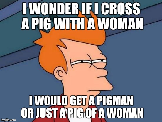 Futurama Fry | I WONDER IF I CROSS A PIG WITH A WOMAN; I WOULD GET A PIGMAN OR JUST A PIG OF A WOMAN | image tagged in memes,futurama fry | made w/ Imgflip meme maker