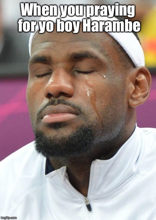 lebron james crying | When you praying for yo boy Harambe | image tagged in lebron james crying | made w/ Imgflip meme maker
