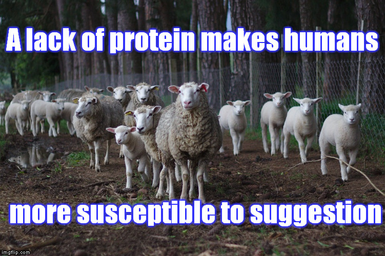 A lack of protein makes humans more susceptible to suggestion | made w/ Imgflip meme maker