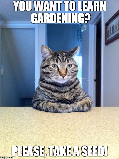 Take A Seat Cat | YOU WANT TO LEARN GARDENING? PLEASE, TAKE A SEED! | image tagged in memes,take a seat cat | made w/ Imgflip meme maker