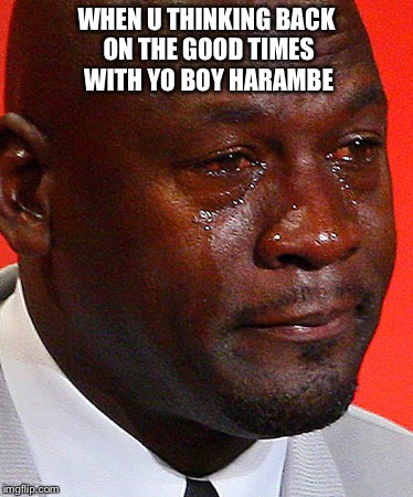 Crying Jordan | WHEN U THINKING BACK ON THE GOOD TIMES WITH YO BOY HARAMBE | image tagged in crying jordan | made w/ Imgflip meme maker