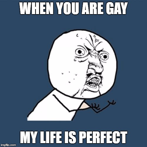 Y U No | WHEN YOU ARE GAY; MY LIFE IS PERFECT | image tagged in memes,y u no | made w/ Imgflip meme maker