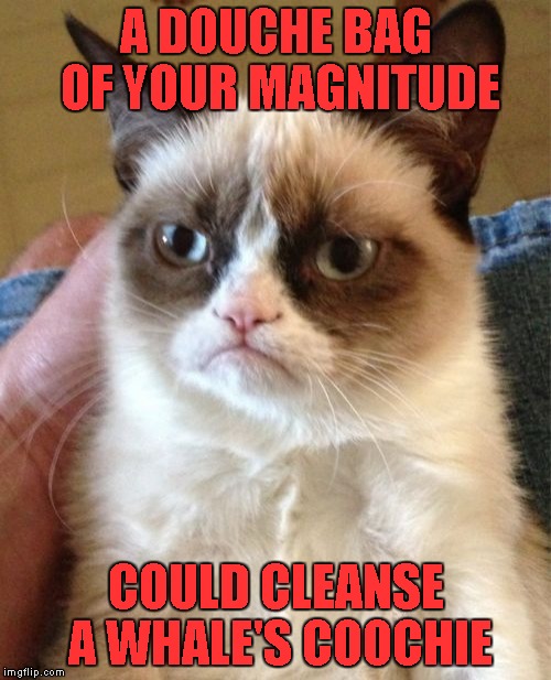 Grumpy Cat Meme | A DOUCHE BAG OF YOUR MAGNITUDE; COULD CLEANSE A WHALE'S COOCHIE | image tagged in memes,grumpy cat | made w/ Imgflip meme maker