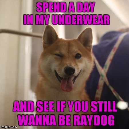 SPEND A DAY IN MY UNDERWEAR AND SEE IF YOU STILL WANNA BE RAYDOG | made w/ Imgflip meme maker