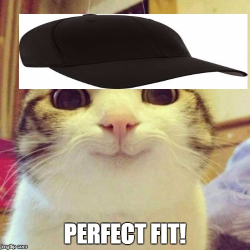 Smiling Cat Meme | PERFECT FIT! | image tagged in memes,smiling cat | made w/ Imgflip meme maker