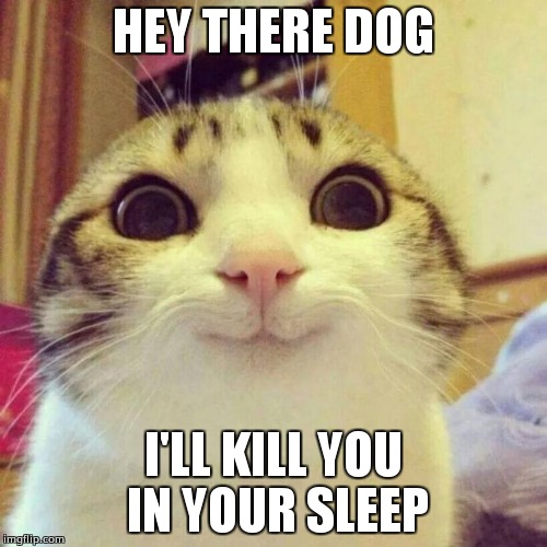 Damn dogs... | HEY THERE DOG; I'LL KILL YOU IN YOUR SLEEP | image tagged in memes,smiling cat | made w/ Imgflip meme maker