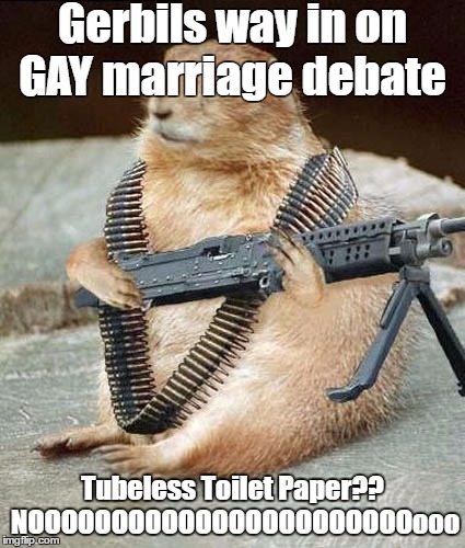 Gerbils way in on Gay Marriage Debate  | Gerbils way in on GAY marriage debate; Tubeless Toilet Paper?? NOOOOOOOOOOOOOOOOOOOOOOOooo | image tagged in lemmywinks gerbil gay rights | made w/ Imgflip meme maker