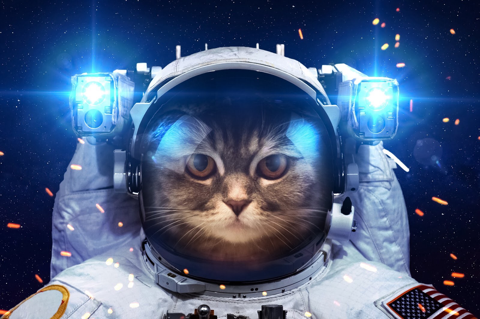 High Quality Space Cat 2 Blank Meme Template
