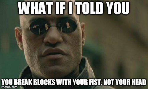 Matrix Morpheus Meme | WHAT IF I TOLD YOU YOU BREAK BLOCKS WITH YOUR FIST, NOT YOUR HEAD | image tagged in memes,matrix morpheus | made w/ Imgflip meme maker
