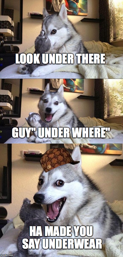 Bad Pun Dog Meme | LOOK UNDER THERE GUY" UNDER WHERE" HA MADE YOU SAY UNDERWEAR | image tagged in memes,bad pun dog,scumbag | made w/ Imgflip meme maker