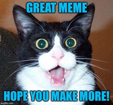 whoa cat | GREAT MEME HOPE YOU MAKE MORE! | image tagged in whoa cat | made w/ Imgflip meme maker