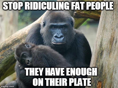 gorilla | STOP RIDICULING FAT PEOPLE; THEY HAVE ENOUGH ON THEIR PLATE | image tagged in gorilla | made w/ Imgflip meme maker