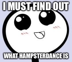 just cute | I MUST FIND OUT WHAT HAMPSTERDANCE IS | image tagged in just cute | made w/ Imgflip meme maker