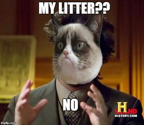 Ancient Aliens Meme | MY LITTER?? NO | image tagged in memes,ancient aliens | made w/ Imgflip meme maker