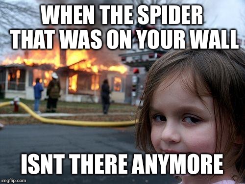 Disaster Girl | WHEN THE SPIDER THAT WAS ON YOUR WALL; ISNT THERE ANYMORE | image tagged in memes,disaster girl | made w/ Imgflip meme maker