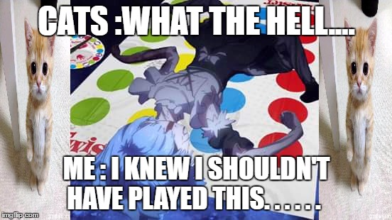 omg i knew it O_O | CATS :WHAT THE HELL.... ME : I KNEW I SHOULDN'T HAVE PLAYED THIS. . . . . . | image tagged in funny meme,funny | made w/ Imgflip meme maker