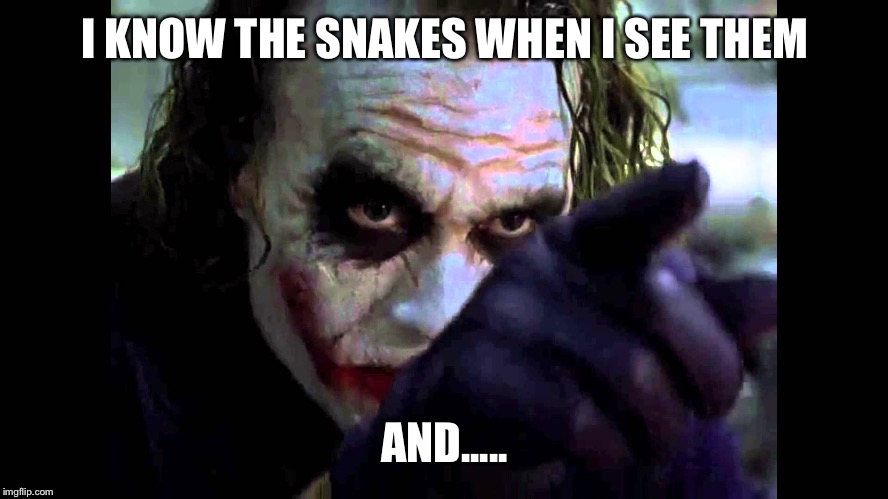 Snakes | I KNOW THE SNAKES WHEN I SEE THEM; AND..... | image tagged in joker,the dark knight,snakes,heath ledger | made w/ Imgflip meme maker