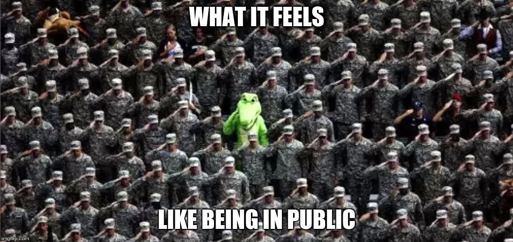 Me anywhere | WHAT IT FEELS; LIKE BEING IN PUBLIC | image tagged in memes | made w/ Imgflip meme maker