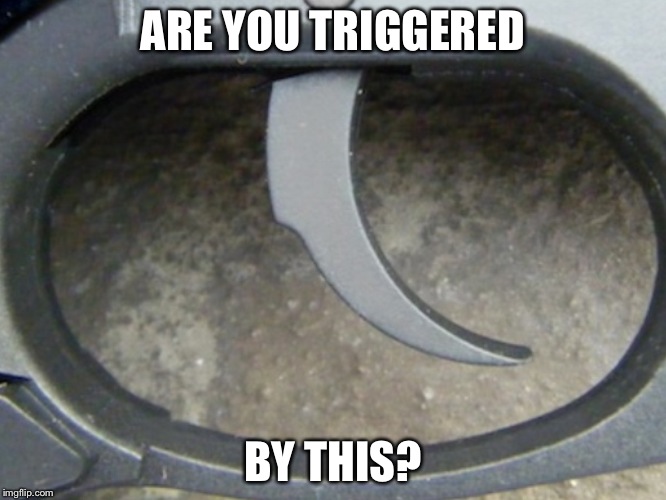 I'm triggered! | ARE YOU TRIGGERED; BY THIS? | image tagged in triggered | made w/ Imgflip meme maker