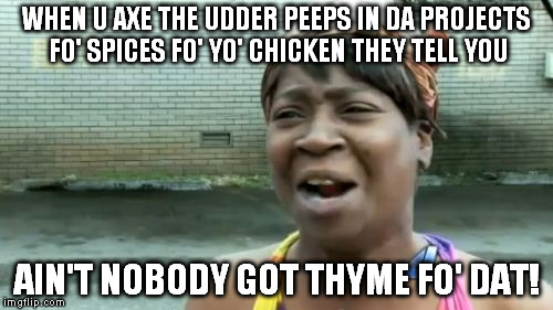 Thyme Bandits | WHEN U AXE THE UDDER PEEPS IN DA PROJECTS FO' SPICES FO' YO' CHICKEN THEY TELL YOU; AIN'T NOBODY GOT THYME FO' DAT! | image tagged in memes,aint nobody got time for that,bad puns are bad | made w/ Imgflip meme maker
