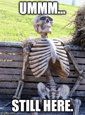 Waiting Skeleton Meme | UMMM... STILL HERE. | image tagged in memes,waiting skeleton | made w/ Imgflip meme maker