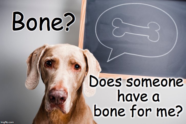 Bone? Does someone have a bone for me? | made w/ Imgflip meme maker