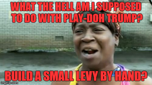 Ain't Nobody Got Time For That Meme | WHAT THE HELL AM I SUPPOSED TO DO WITH PLAY-DOH TRUMP? BUILD A SMALL LEVY BY HAND? | image tagged in memes,aint nobody got time for that | made w/ Imgflip meme maker
