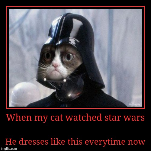 image tagged in funny,demotivationals | made w/ Imgflip demotivational maker