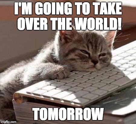 tired cat | I'M GOING TO TAKE OVER THE WORLD! TOMORROW | image tagged in tired cat | made w/ Imgflip meme maker
