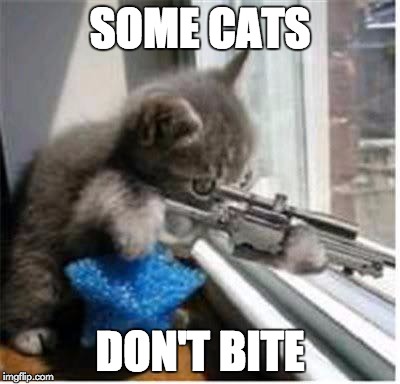 cats with guns | SOME CATS; DON'T BITE | image tagged in cats with guns | made w/ Imgflip meme maker