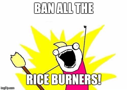 X All The Y Meme | BAN ALL THE RICE BURNERS! | image tagged in memes,x all the y | made w/ Imgflip meme maker
