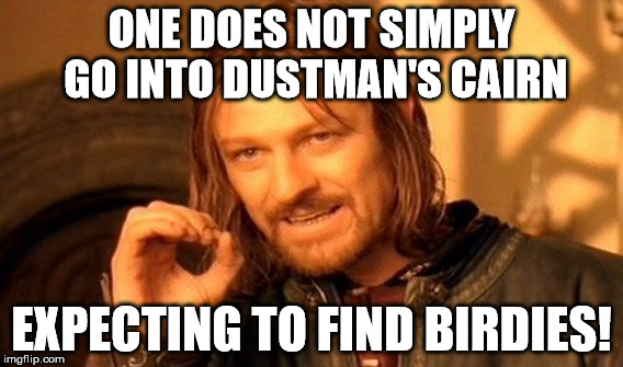 One Does Not Simply Meme | ONE DOES NOT SIMPLY GO INTO DUSTMAN'S CAIRN; EXPECTING TO FIND BIRDIES! | image tagged in memes,one does not simply | made w/ Imgflip meme maker