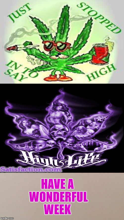 Blank canvas Imgflip