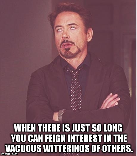 Face You Make Robert Downey Jr | WHEN THERE IS JUST SO LONG YOU CAN FEIGN INTEREST IN THE VACUOUS WITTERINGS OF OTHERS. | image tagged in memes,face you make robert downey jr | made w/ Imgflip meme maker