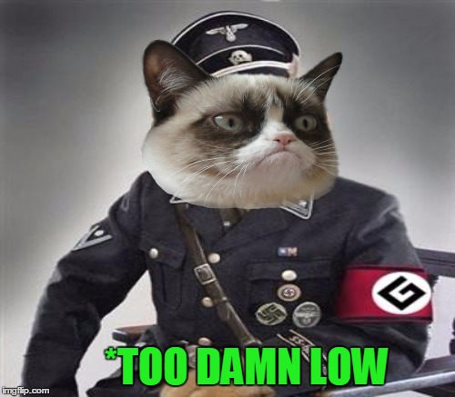 *TOO DAMN LOW | made w/ Imgflip meme maker