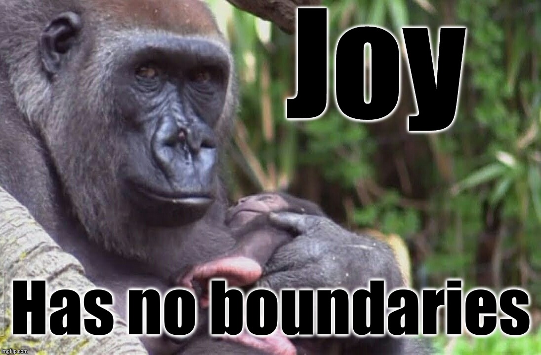 Joy | Joy; Has no boundaries | image tagged in joy | made w/ Imgflip meme maker