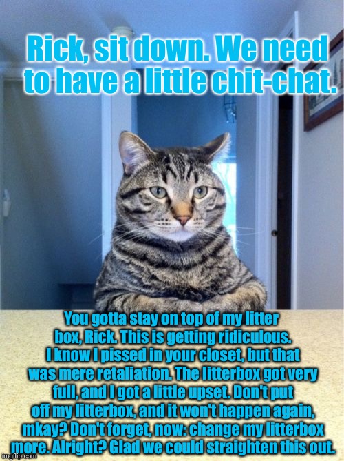 Take A Seat Cat Meme | Rick, sit down. We need to have a little chit-chat. You gotta stay on top of my litter box, Rick. This is getting ridiculous. I know I pissed in your closet, but that was mere retaliation. The litterbox got very full, and I got a little upset. Don't put off my litterbox, and it won't happen again, mkay? Don't forget, now: change my litterbox more. Alright? Glad we could straighten this out. | image tagged in memes,take a seat cat | made w/ Imgflip meme maker