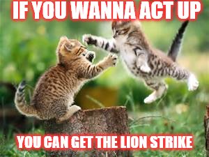 IF YOU WANNA ACT UP; YOU CAN GET THE LION STRIKE | image tagged in you wanna act up | made w/ Imgflip meme maker