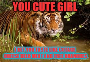 YOU CUTE GIRL; I BET YOU TASTE LIKE COTAGE CHEESE DEER MEAT AND TREE BRANCHES | image tagged in i like youuu | made w/ Imgflip meme maker