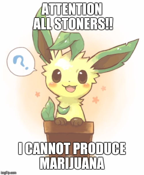 #Sitcalm | ATTENTION ALL STONERS!! I CANNOT PRODUCE MARIJUANA | image tagged in pokemon,funny memes,comics/cartoons,funny pokemon,funny meme,so true memes | made w/ Imgflip meme maker