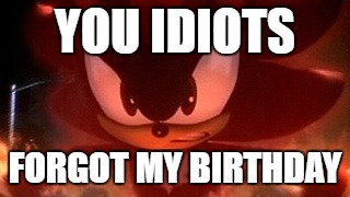 Don't Forget Shadows Birthday. | YOU IDIOTS; FORGOT MY BIRTHDAY | image tagged in shadow the hedgehog,sonic the hedgehog,birthday | made w/ Imgflip meme maker