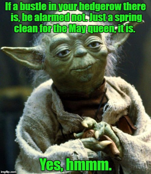 Led Yodalin | If a bustle in your hedgerow there is, be alarmed not. Just a spring clean for the May queen, it is. Yes, hmmm. | image tagged in memes,star wars yoda | made w/ Imgflip meme maker