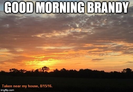 GOOD MORNING BRANDY | made w/ Imgflip meme maker